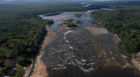 Cachoeira do rio Jatapu no Amazonas. Foto: Divulgação Inpa - TechAmazonia