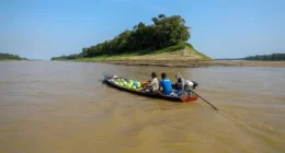 Emergência Climática na Amazônia será debatida em seminário