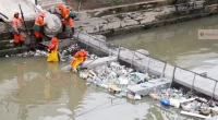 Ecobarreiras reduzem lixo no Rio Negro em mais de 50%