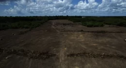 Brazil Potash reforça sustentabilidade na Amazônia com entrega de terminal portuário do Projeto Autazes