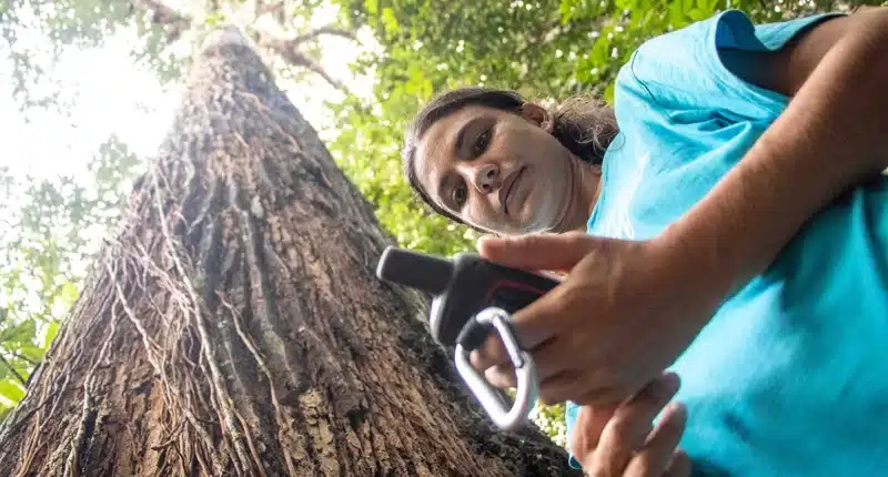 Instituto Mamirauá abre inscrições bolas de iniciação científica