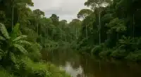 Edital AMABIO 2025 investe R$ 4 milhões na bioeconomia amazônica