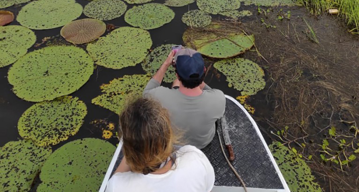Diatomáceas no rio Uaicurapá revelam impacto humano