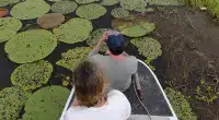 Diatomáceas no rio Uaicurapá revelam impacto humano
