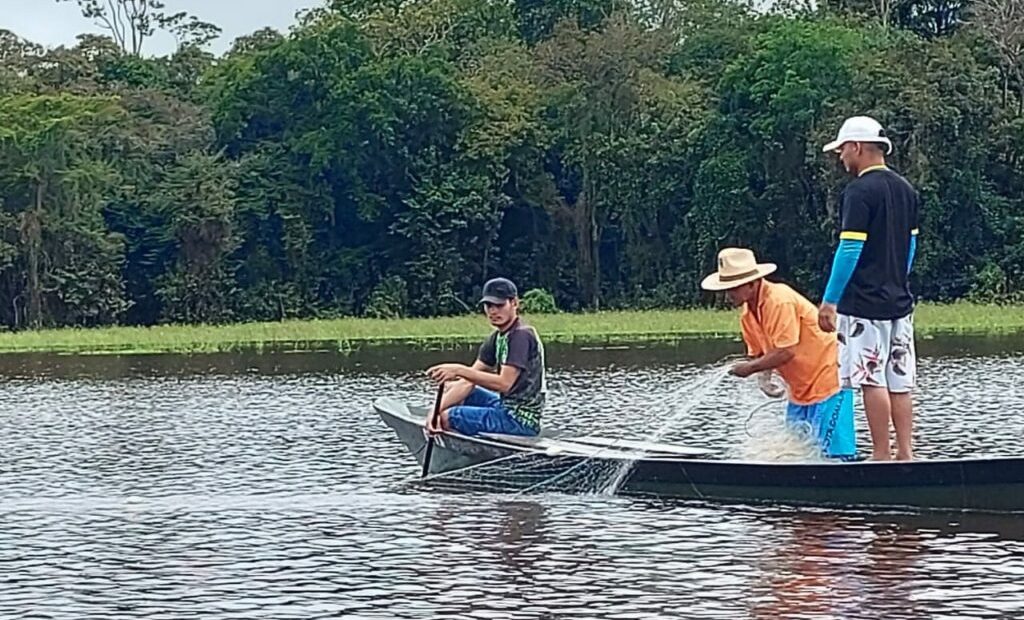 Resíduos pesqueiros da Amazônia podem virar energia