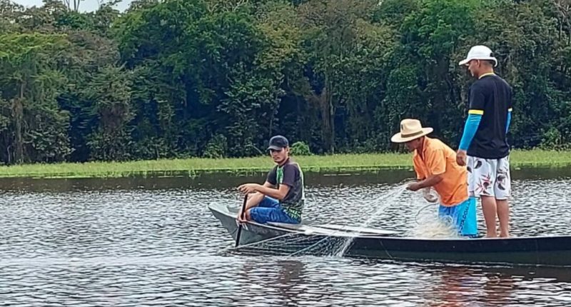 Resíduos pesqueiros da Amazônia podem virar energia