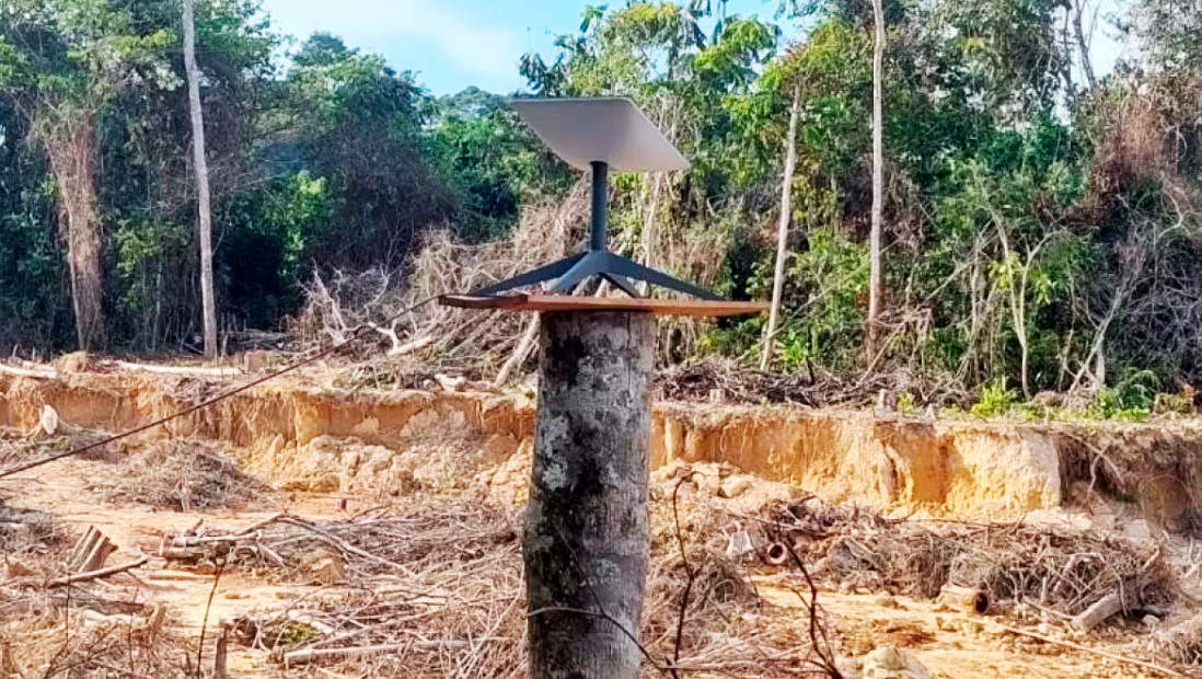 Starlink na Amazônia: MPF fecha acordo contra garimpo ilegal