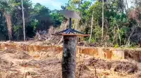 Starlink na Amazônia: MPF fecha acordo contra garimpo ilegal