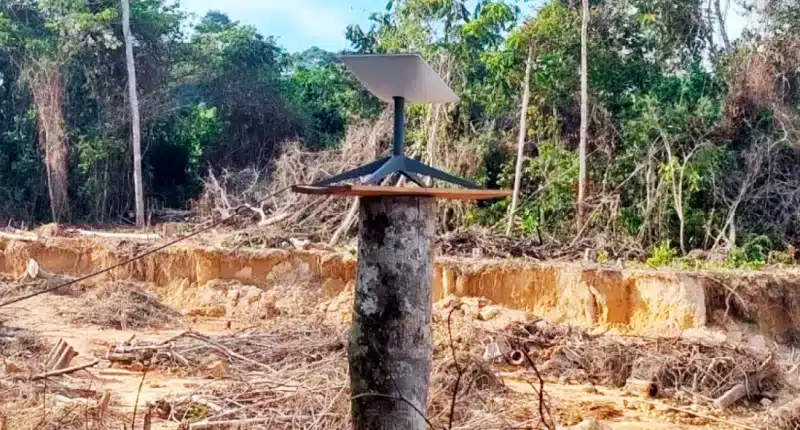 Starlink na Amazônia: MPF fecha acordo contra garimpo ilegal