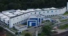 CBA abre vagas para startups de bionegócios na Amazônia