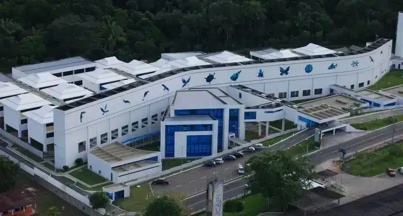 CBA abre vagas para startups de bionegócios na Amazônia