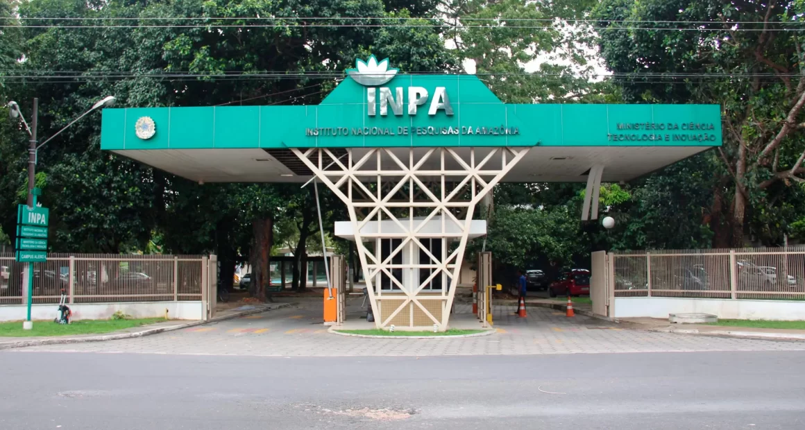 Inpa abre bolsas para iniciação científica e vagas para doutorado