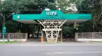 Inpa abre bolsas para iniciação científica e vagas para doutorado