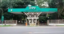 Inpa abre bolsas para iniciação científica e vagas para doutorado