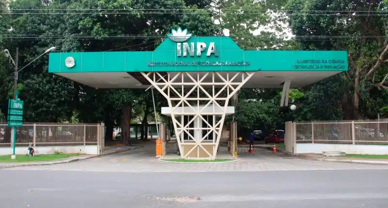 Inpa abre bolsas para iniciação científica e vagas para doutorado