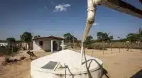 Tecnologia social transforma a Amazônia com inovação