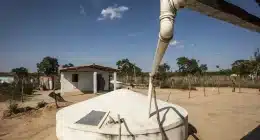 Tecnologia social transforma a Amazônia com inovação