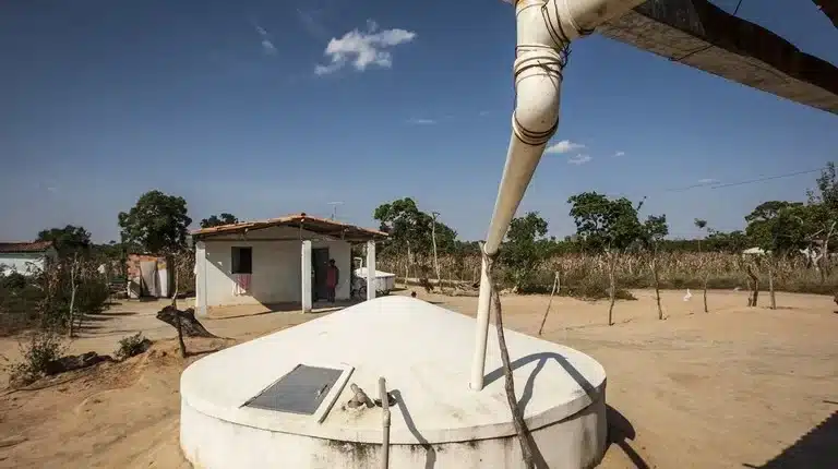 Tecnologia social transforma a Amazônia com inovação