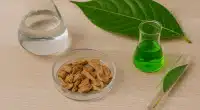 Webinar: Produtos Naturais da Amazônia com CAS SciFinder