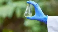 Diesel Verde na Amazônia pode revolucionar energia limpa