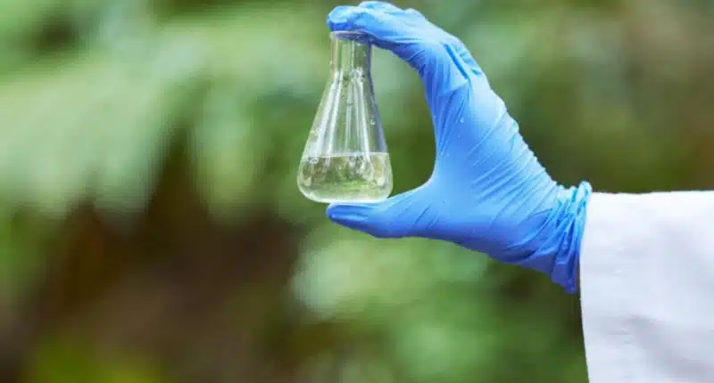 Diesel Verde na Amazônia pode revolucionar energia limpa