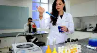 Chamada seleciona startups da bioeconomia na Amazônia
