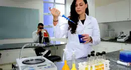 Chamada seleciona startups da bioeconomia na Amazônia