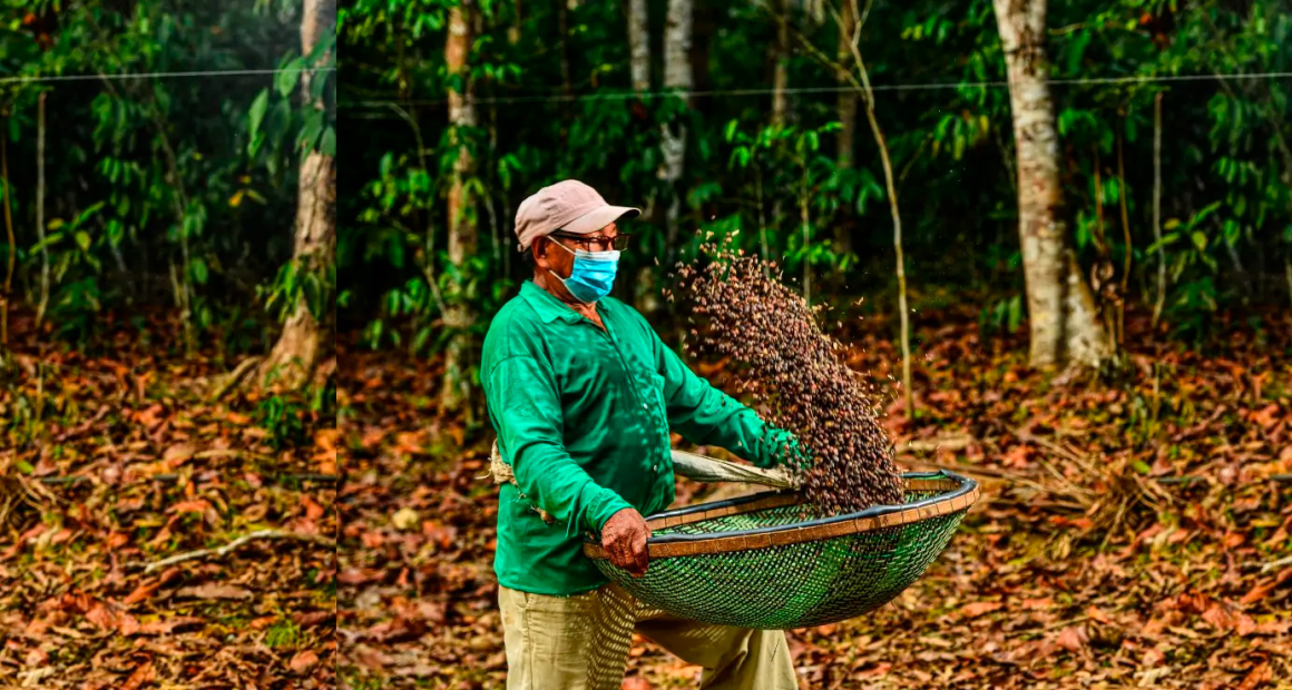 Startup de Apuí-AM é destaque mundial em sustentabilidade
