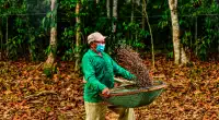 Startup de Apuí-AM é destaque mundial em sustentabilidade