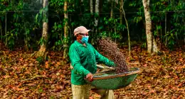 Startup de Apuí-AM é destaque mundial em sustentabilidade