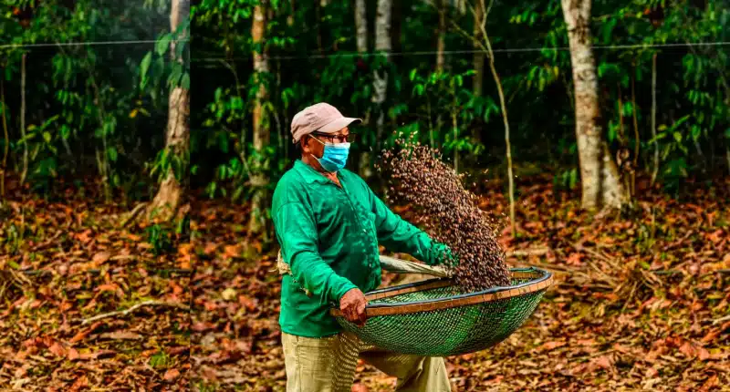 Startup de Apuí-AM é destaque mundial em sustentabilidade