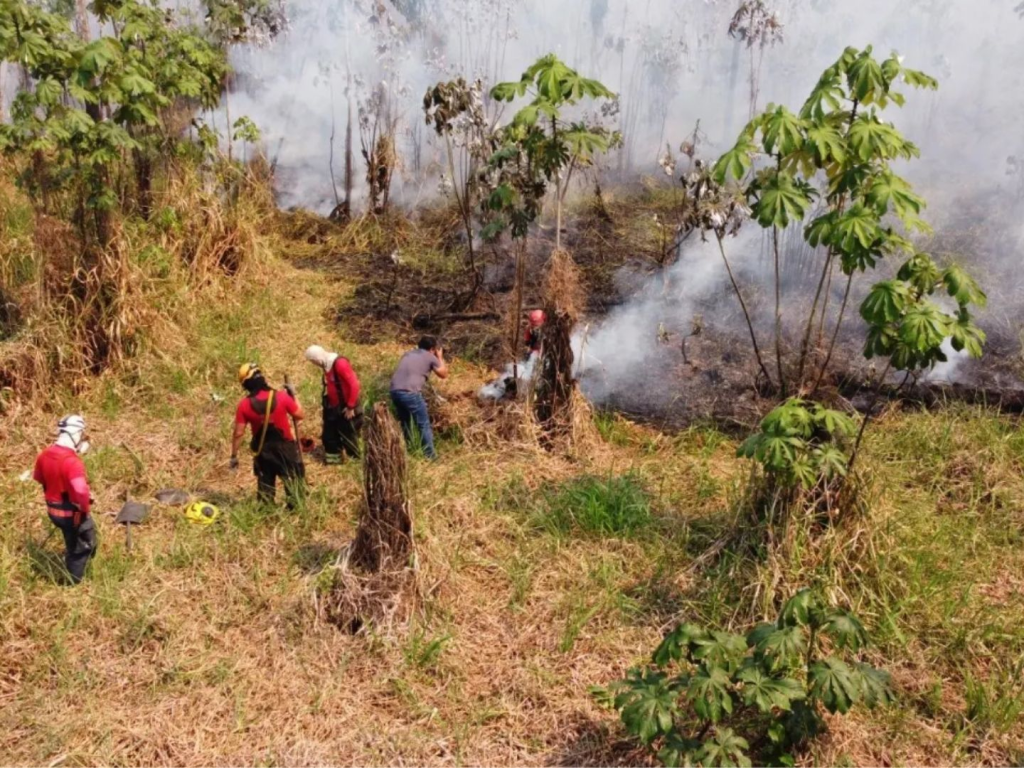 Drones com sensor térmico caçam focos de queimadas em Manaus