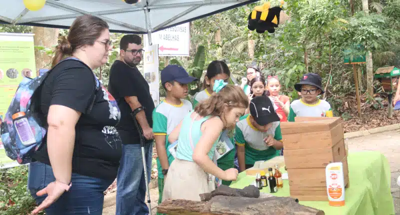 Ciência na Praça transforma o centro de Manaus neste domingo