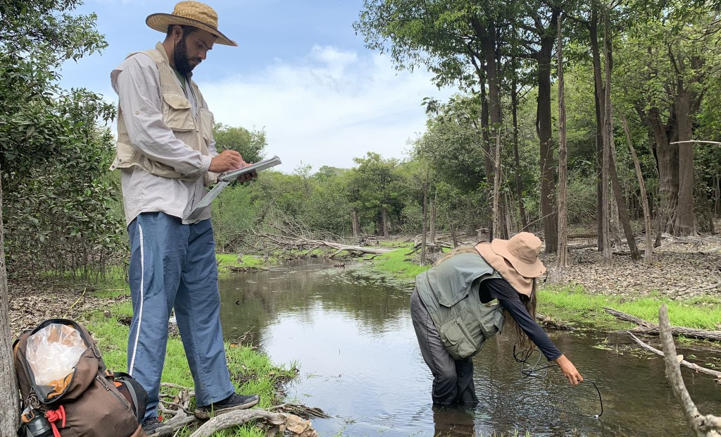 Cientistas do Inpa descobrem biodiversidade inédita no Amazonas