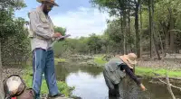 Cientistas do Inpa descobrem biodiversidade inédita no Amazonas