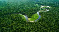 Connect Amazônia 2025 abre chamada complementar de R$ 248 mil