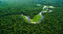 Connect Amazônia 2025 abre chamada complementar de R$ 248 mil