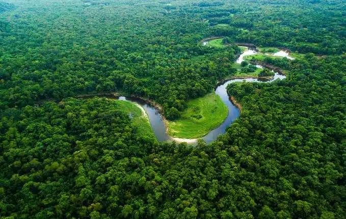 Connect Amazônia 2025 abre chamada complementar de R$ 248 mil