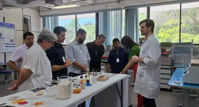 Física quântica avança na bioeconomia amazônica