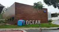 Cursos de IA: Samsung Ocean abre várias opções em agosto