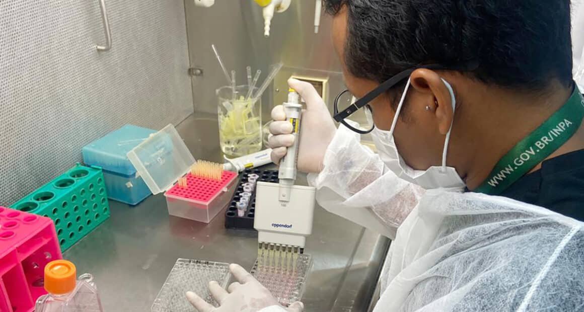 Pesquisadores desenvolvem óleos essenciais contra malária e dengue