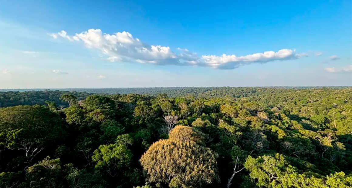 Brasil e Alemanha lançam edital de R$ 4 milhões para pesquisa