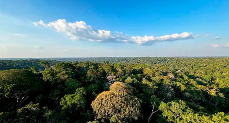 Brasil e Alemanha lançam edital de R$ 4 milhões para pesquisa