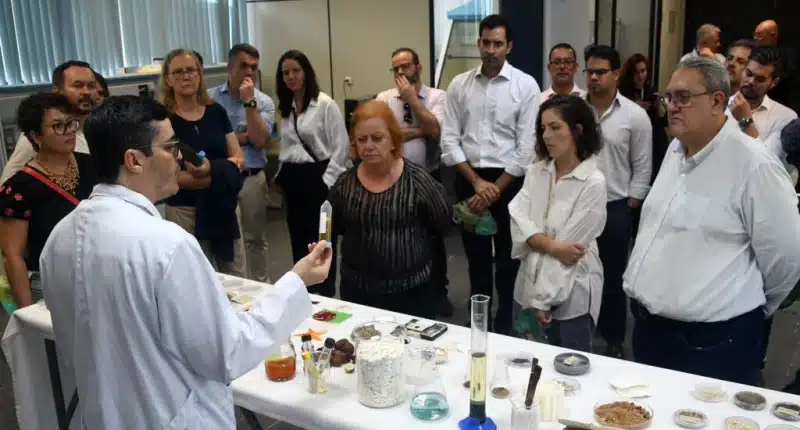 Biolubrificante ecológico usa óleo de palma e nanotecnologia