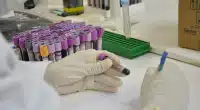 Pesquisa para identificação por DNA de pessoas desaparecidas avança