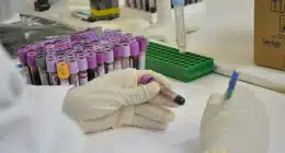 Pesquisa para identificação por DNA de pessoas desaparecidas avança