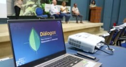 Consulta pública do Plano de Bioeconomia do Amazonas vai até 30 de setembro
