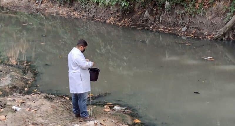 Pesquisa usa fungos para tratar água de igarapés poluídos
