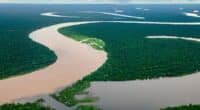 Floresta amazônica cortada por dois rios: um de águas barrentas e outro de águas negra