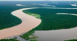 Floresta amazônica cortada por dois rios: um de águas barrentas e outro de águas negra